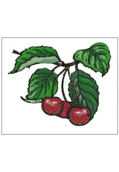 Plf042 - Cherries branch